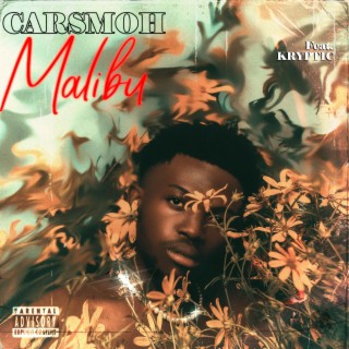 Malibu ft. Kryptic lyrics | Boomplay Music