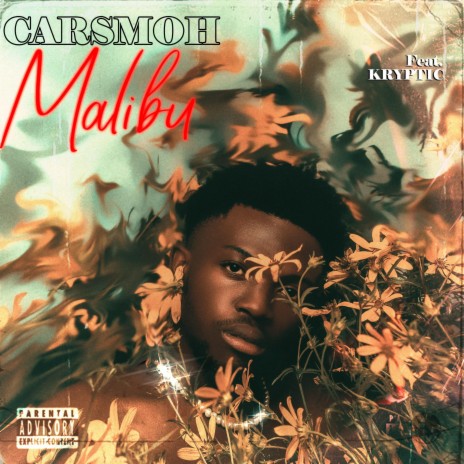 Malibu ft. Kryptic | Boomplay Music