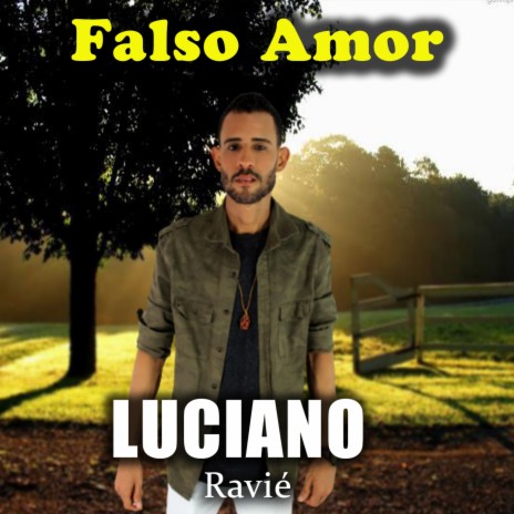 Falso Amor | Boomplay Music