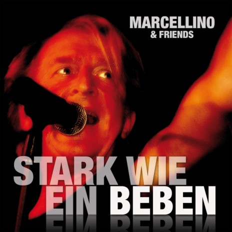 Stark wie ein Beben (Radio Mix) | Boomplay Music