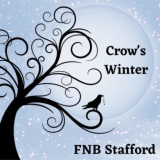 FNB Stafford