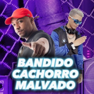 Bandido, cachorro, malvado