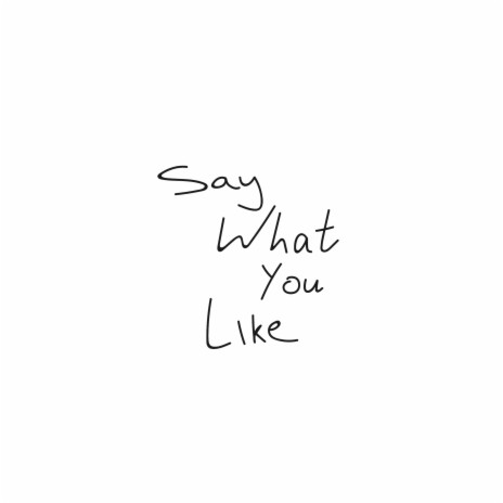 Say What You Like | Boomplay Music