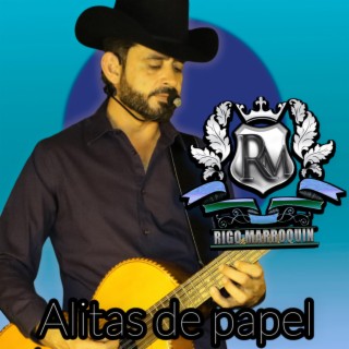 Alitas de papel