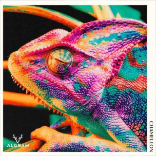 Chameleon