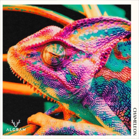 Chameleon (Radio Edit) | Boomplay Music