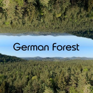German Forest Sounds Background Spa Noise
