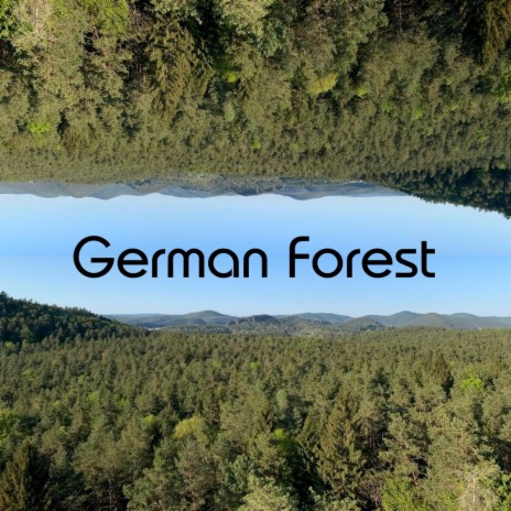 Forest Forest Forest Forest