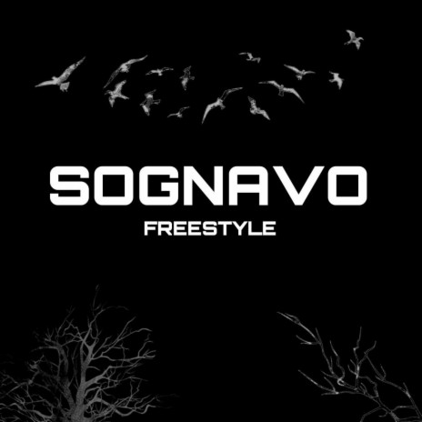 SOGNAVO FREESTYLE | Boomplay Music