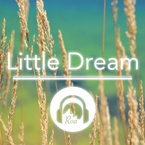 Little Dream | Boomplay Music