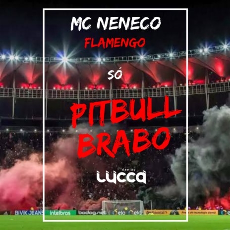 Flamengo Só Pitbull Brabo ft. Mc Neneco | Boomplay Music