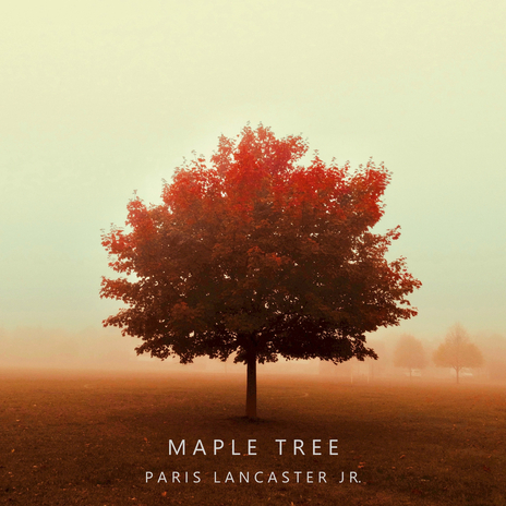 Maple Tree | Boomplay Music