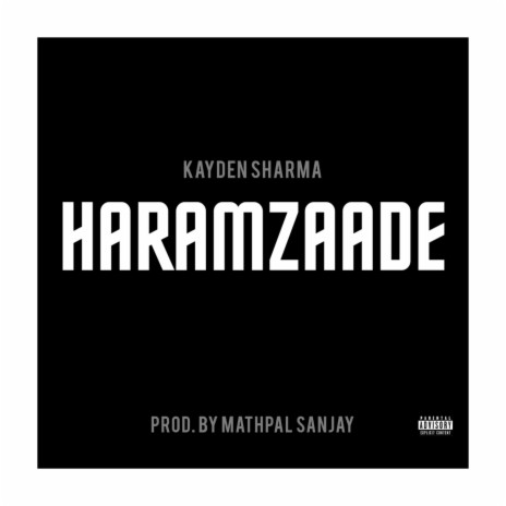 Haramzaade | Boomplay Music