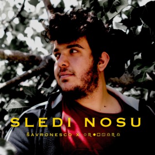 Sledi nosu