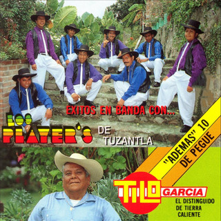 Exitos en Banda Con...