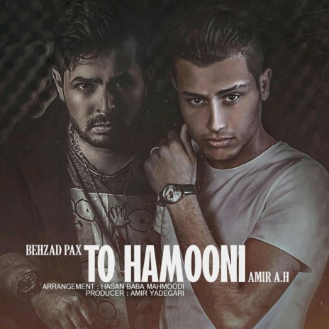 To Hamooni (feat. Amir A.H) | Boomplay Music