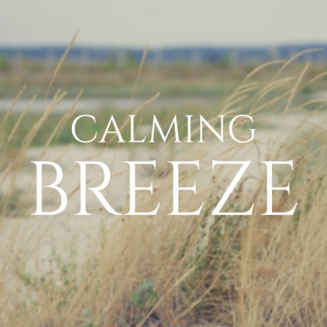Calming Breeze | Boomplay Music