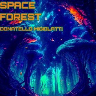 Space Forest