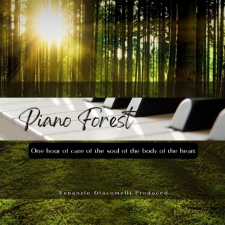 Piano Forest, One Hour of Care of the Soul of the Body of the Heart