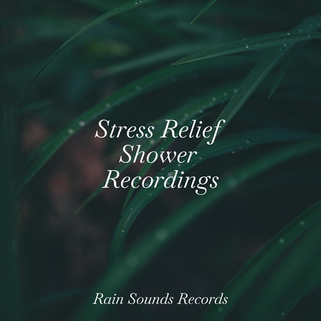 Sunlit Canopy Calls ft. Meditation Rain Sounds & Sonidos De Truenos y Lluvia | Boomplay Music