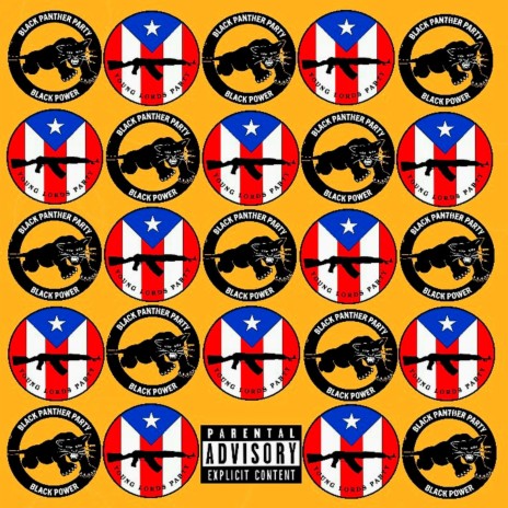 Panthers and Young Lords ft. O The Great | Boomplay Music