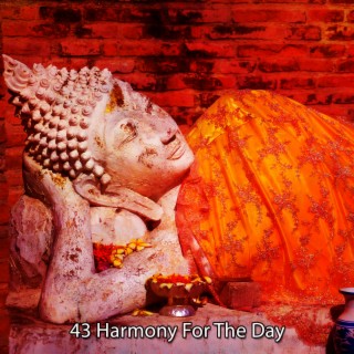 43 Harmony For The Day