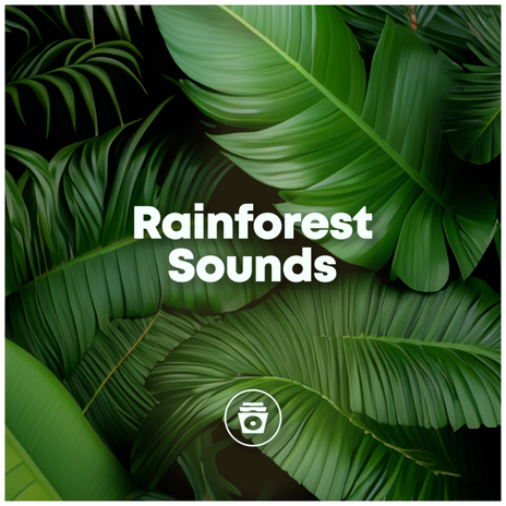 Rainstorm | Boomplay Music