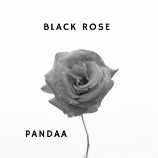 Black Rose