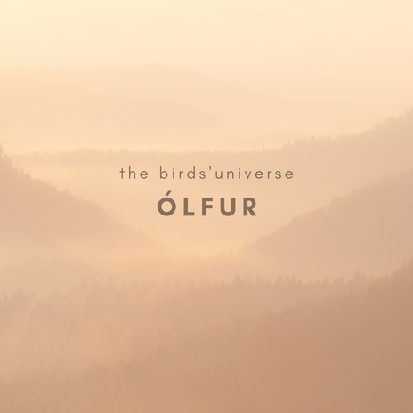 The Birds' Universe | Boomplay Music