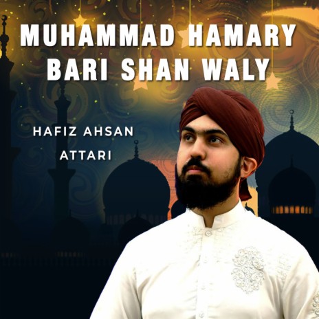 Muhammad Hamary Bari Shan Waly