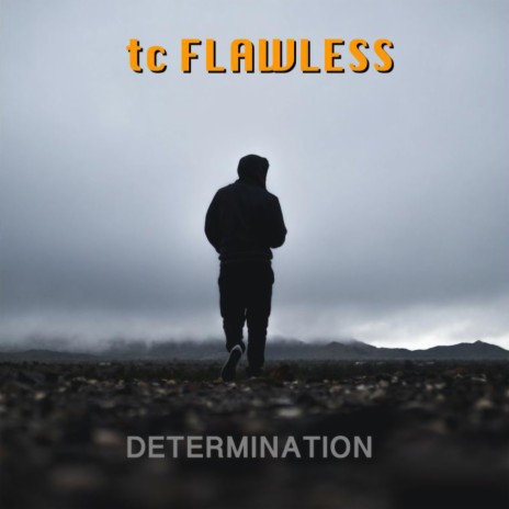 Determination | Boomplay Music