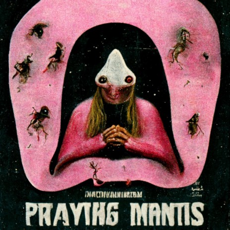 Praying Mantis | Boomplay Music