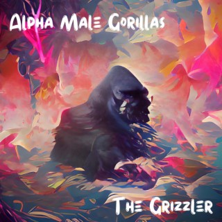 Alpha Male Gorillas