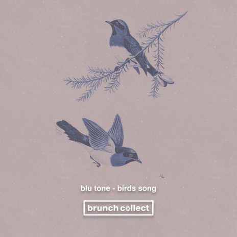 Birds Song | Boomplay Music