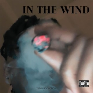 In The Wind (feat. T. Trendin)