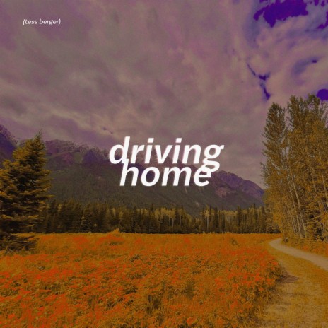 Driving Home | Boomplay Music