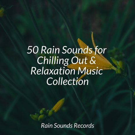 Melodic Misty Reflections ft. Zen Music Garden & Pro Sound Effects Library | Boomplay Music