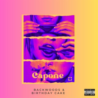 Backwoods & Birthday Cake lyrics | Boomplay Music