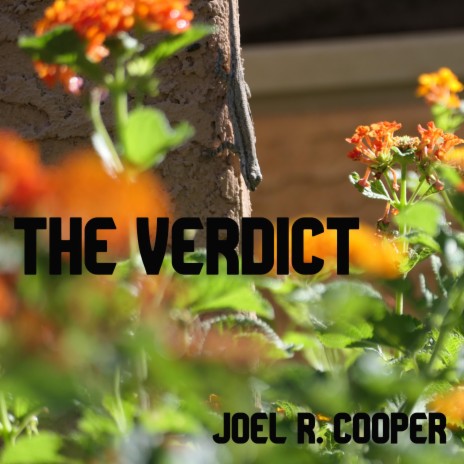 The Verdict | Boomplay Music