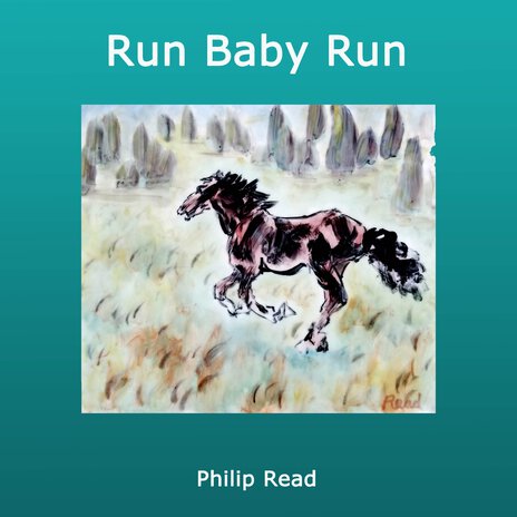 Run Baby Run | Boomplay Music