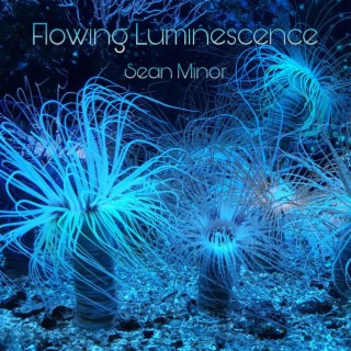 Flowing Luminescence