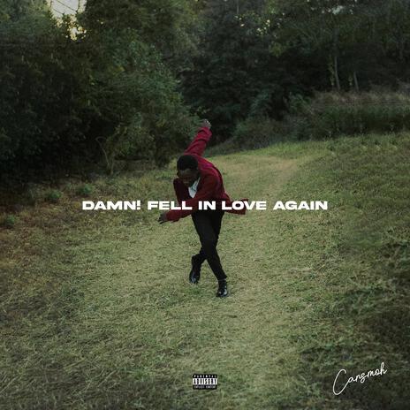 Damn! Fell in love again | Boomplay Music