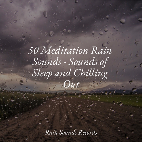 Echoes Through Misty Roads ft. Meditation Rain Sounds & Relaxing Music | Boomplay Music