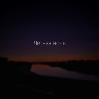 Летняя ночь