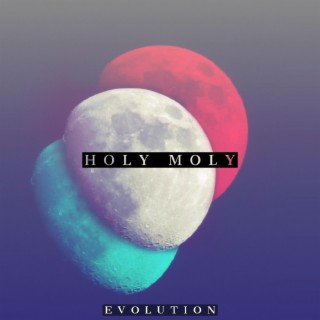 Evolution - Holy Moly