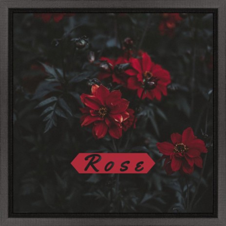 Rose | Boomplay Music