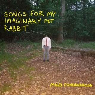 Songs for My Imaginary Pet Rabbit