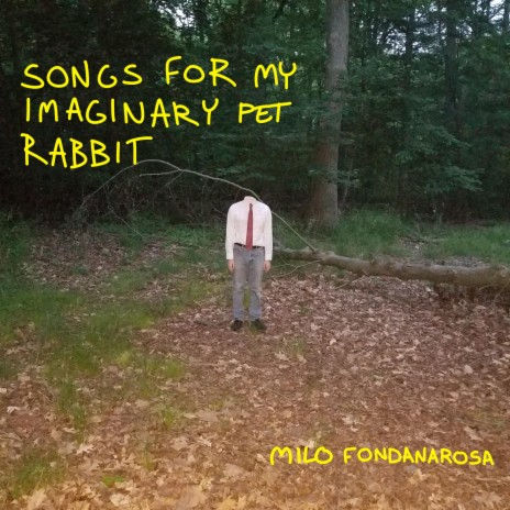 My Imaginary Pet Rabbit | Boomplay Music