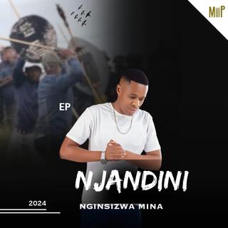 Nginsizwa Mina