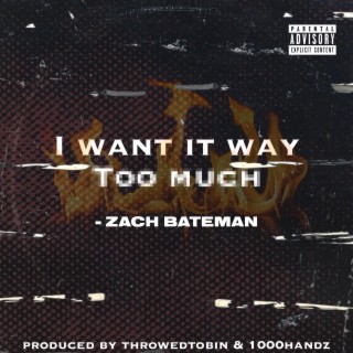 I Want It Way Too Much lyrics | Boomplay Music